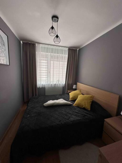 Apartment Cozy Place